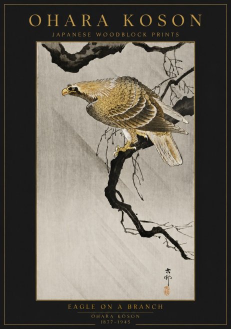 Ohara Koson Eagle on a Branch II No6 - Póster