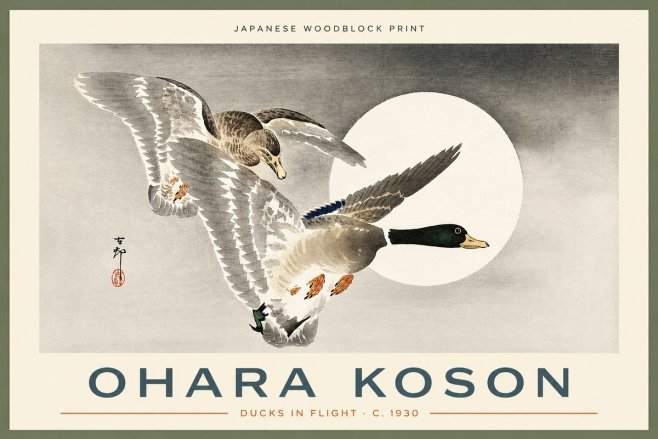 Ohara Koson Ducks in Flight No2 - Póster