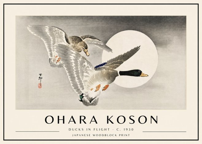 Ohara Koson Ducks in Flight No4 - Póster