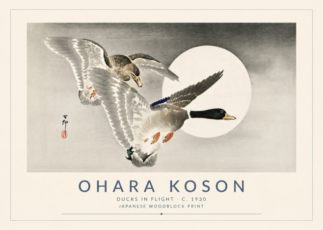 Ohara Koson Ducks in Flight No5 - Póster