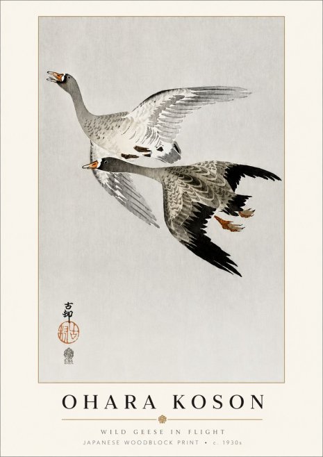 Ohara Koson Wild Geese in Flight III No3 - Póster