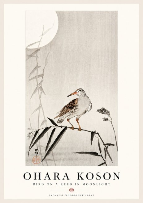 Ohara Koson Bird on a Reed in Moonlight No4 - Póster