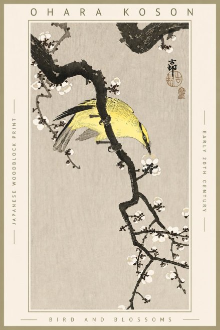 Ohara Koson Bird and Blossoms No4 - Póster