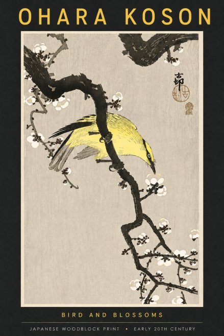 Ohara Koson Bird and Blossoms No5 - Póster