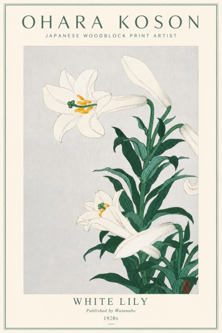 Ohara Koson White Lily No3 - Póster