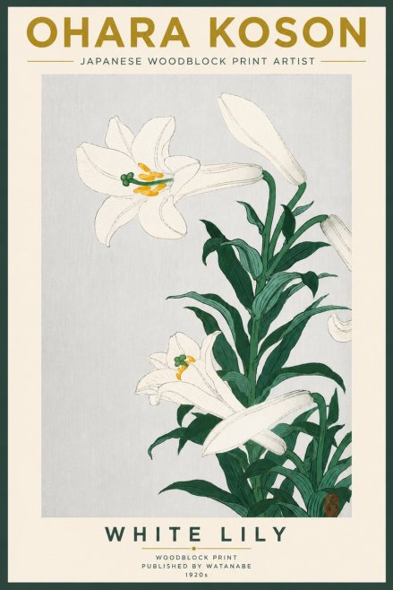 Ohara Koson White Lily No5 - Póster