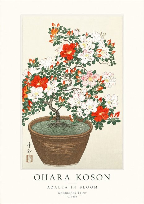 Ohara Koson Azalea in Bloom No1 - Póster