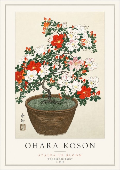 Ohara Koson Azalea in Bloom No3 - Póster