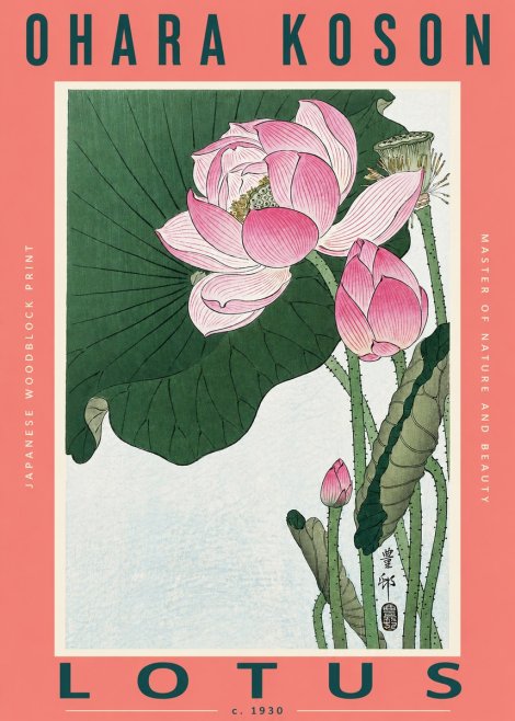 Ohara Koson Lotus II No2 - Póster