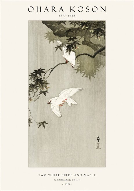Ohara Koson Two White Birds and Maple No1 - Póster