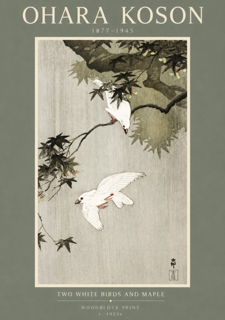 Ohara Koson Two White Birds and Maple No2 - Póster
