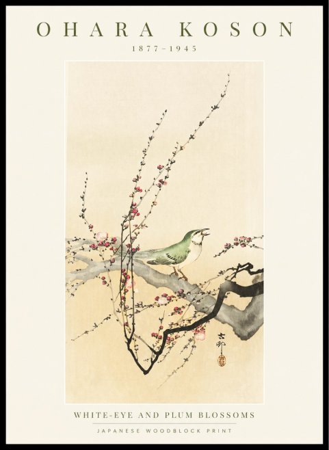 Ohara Koson White-eye and Plum Blossoms No1 - Póster