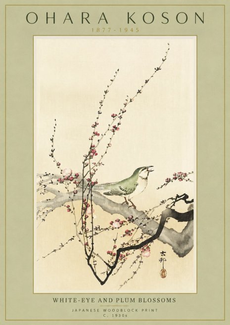 Ohara Koson White-eye and Plum Blossoms No4 - Póster