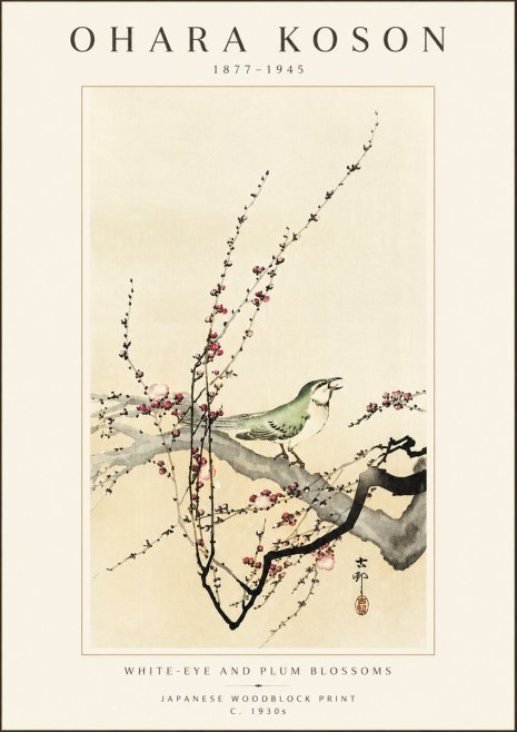 Ohara Koson White-eye and Plum Blossoms No5 - Póster