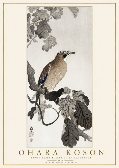 Ohara Koson Brown-eared Bulbul on an Oak Branch No1 - Póster