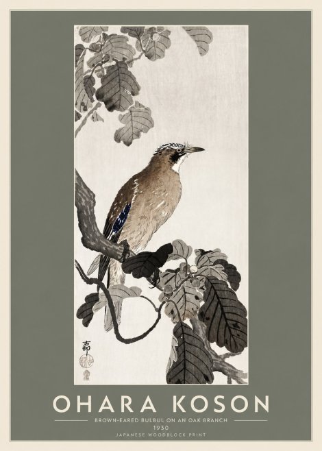 Ohara Koson Brown-eared Bulbul on an Oak Branch No2 - Póster