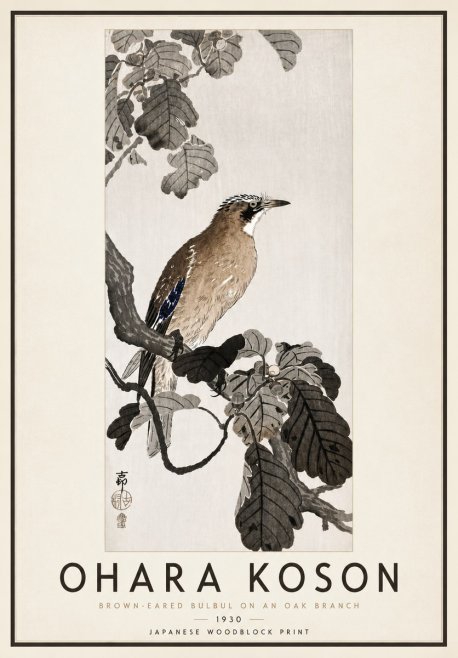 Ohara Koson Brown-eared Bulbul on an Oak Branch No4 - Póster