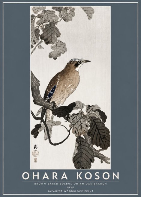 Ohara Koson Brown-eared Bulbul on an Oak Branch No5 - Póster