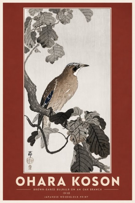 Ohara Koson Brown-eared Bulbul on an Oak Branch No6 - Póster