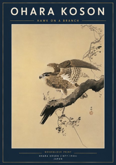 Ohara Koson Hawk on a Branch I No6 - Póster