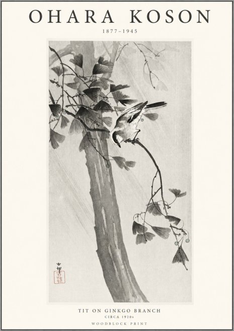 Ohara Koson Tit on Ginkgo Branch No1 - Póster