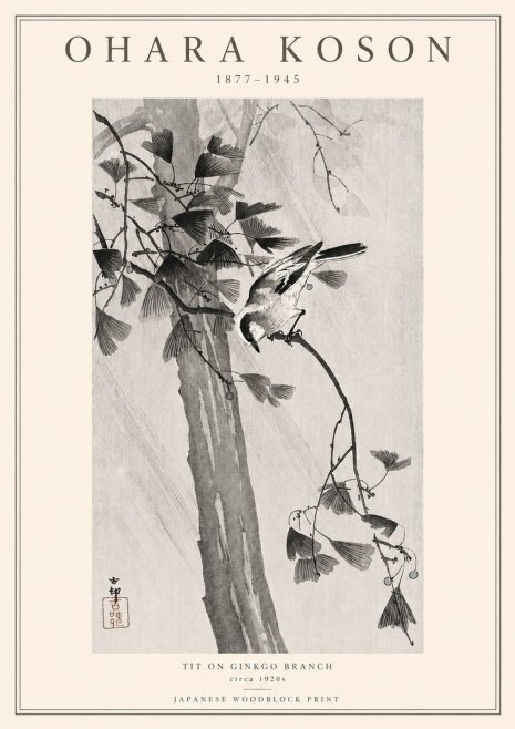 Ohara Koson Tit on Ginkgo Branch No3 - Póster