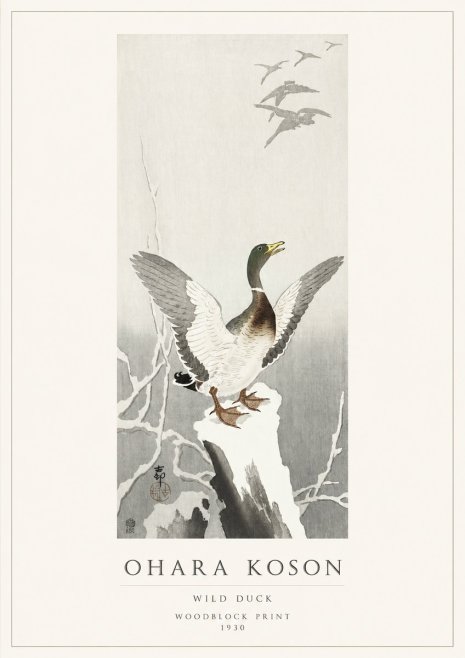 Ohara Koson Wild Duck No1 - Póster
