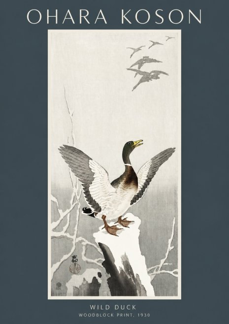 Ohara Koson Wild Duck No2 - Póster