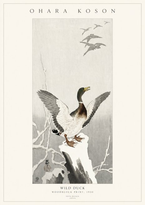 Ohara Koson Wild Duck No3 - Póster
