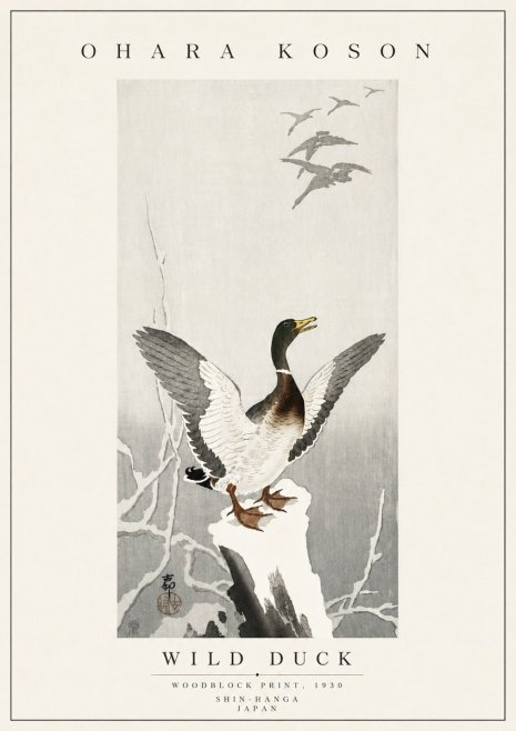 Ohara Koson Wild Duck No5 - Póster