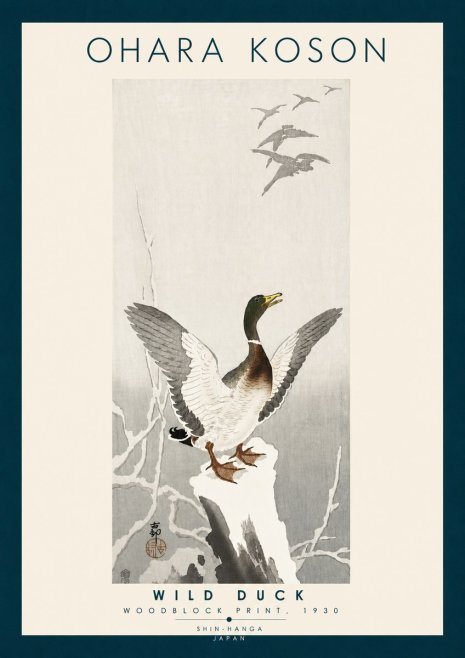 Ohara Koson Wild Duck No6 - Póster