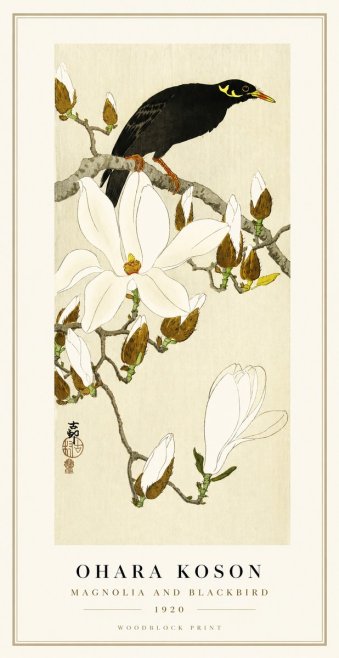 Ohara Koson Magnolia and Blackbird No1 - Póster