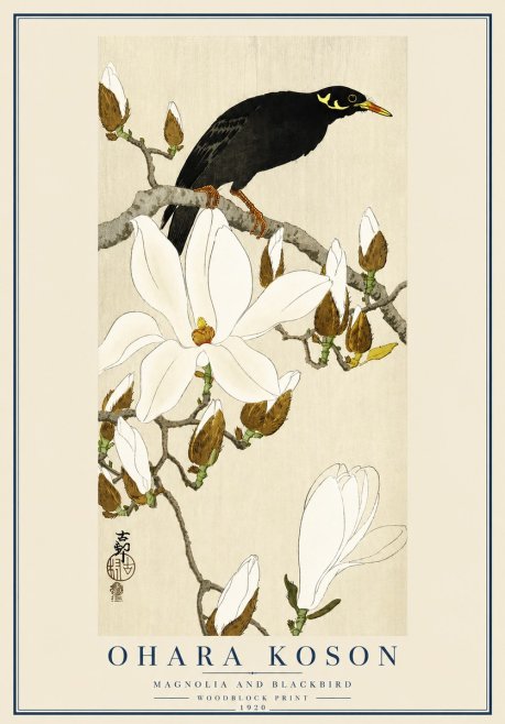 Ohara Koson Magnolia and Blackbird No3 - Póster