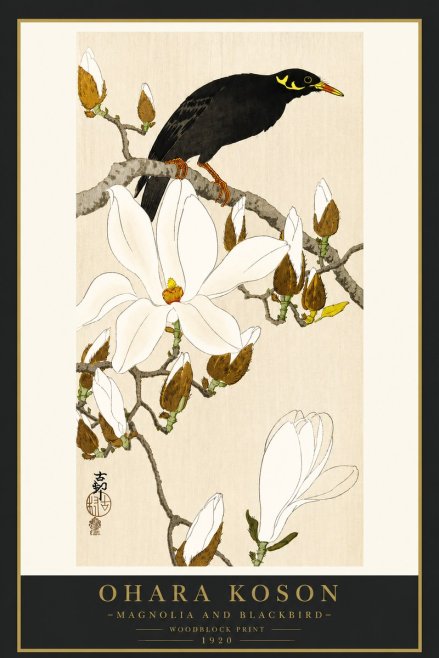 Ohara Koson Magnolia and Blackbird No4 - Póster