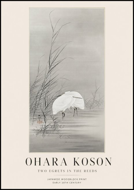 Ohara Koson Two Egrets in the Reeds No1 - Póster