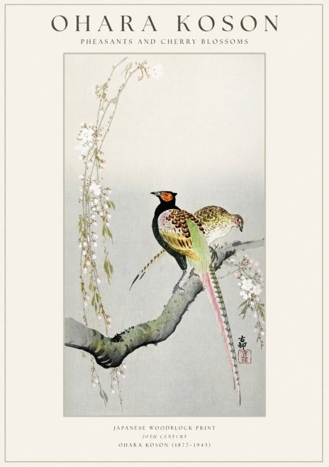 Ohara Koson Pheasants and Cherry Blossoms II No1 - Póster