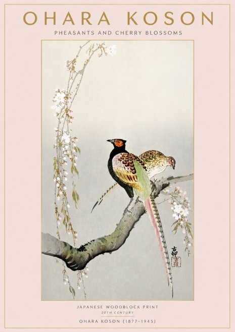 Ohara Koson Pheasants and Cherry Blossoms II No3 - Póster