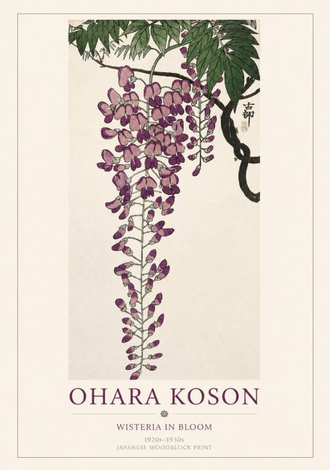 Ohara Koson Wisteria in Bloom No1 - Póster