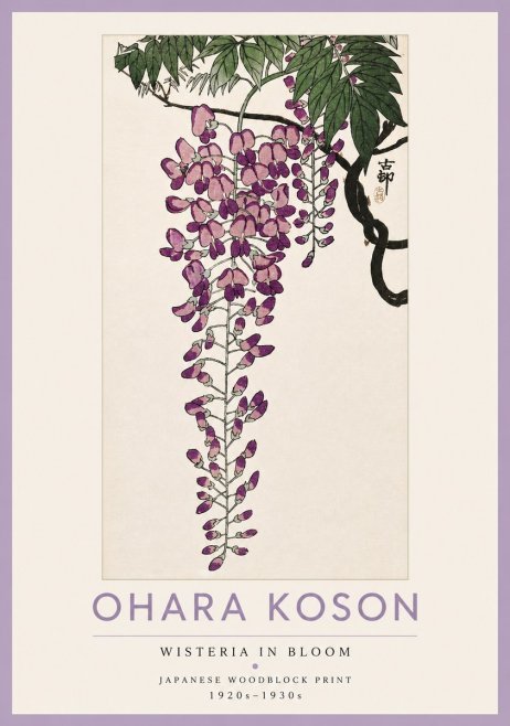 Ohara Koson Wisteria in Bloom No4 - Póster