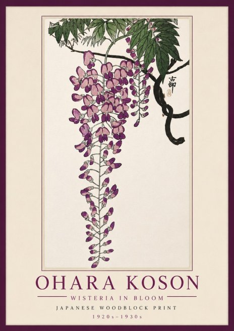 Ohara Koson Wisteria in Bloom No5 - Póster
