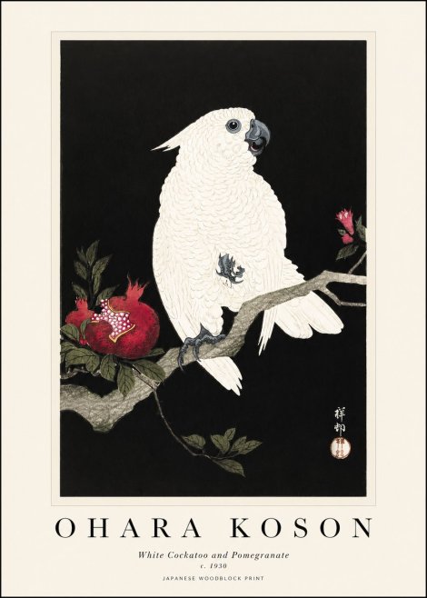 Ohara Koson White Cockatoo and Pomegranate I No1 - Póster