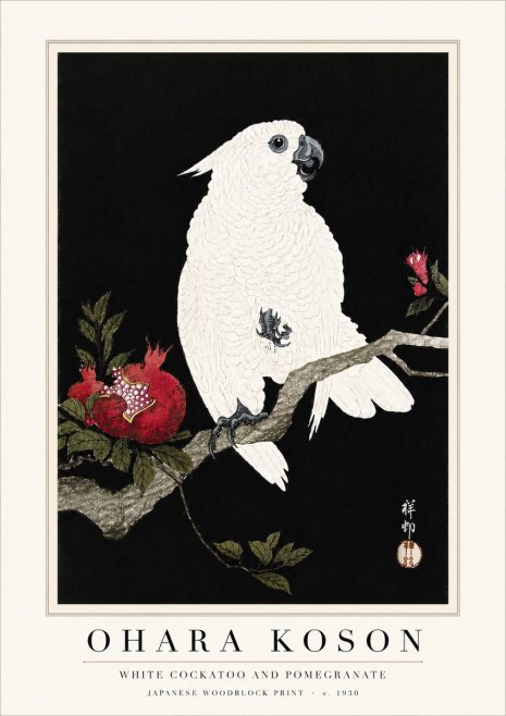Ohara Koson White Cockatoo and Pomegranate I No6 - Póster