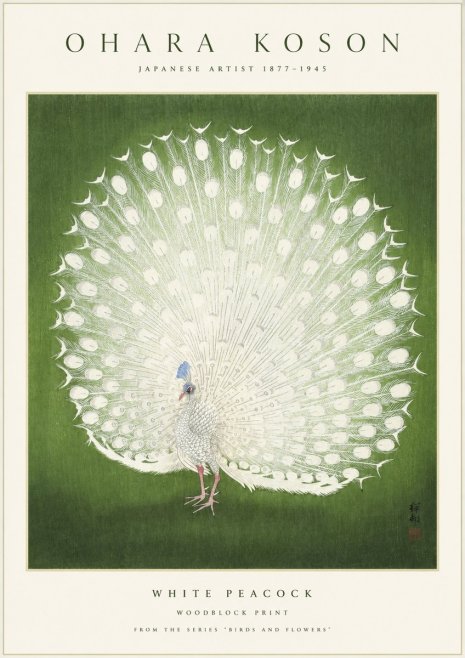 Ohara Koson White Peacock No1 - Póster