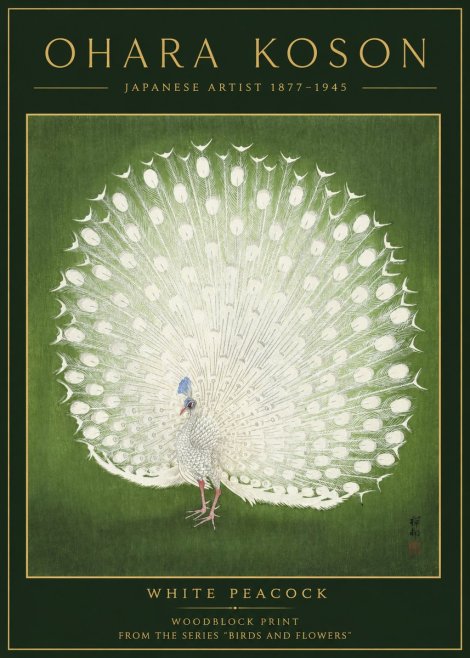 Ohara Koson White Peacock No2 - Póster