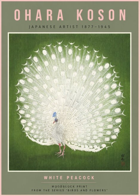 Ohara Koson White Peacock No6 - Póster