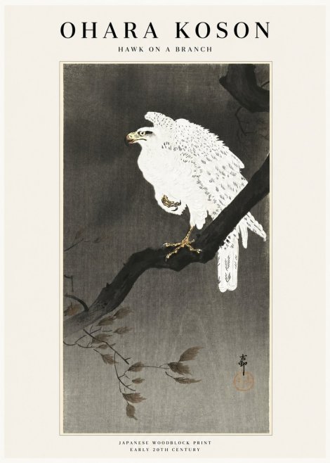 Ohara Koson Hawk on a Branch II No1 - Póster