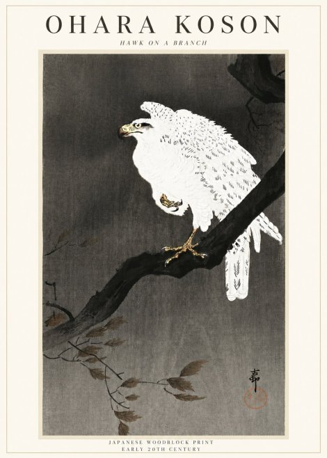 Ohara Koson Hawk on a Branch II No3 - Póster