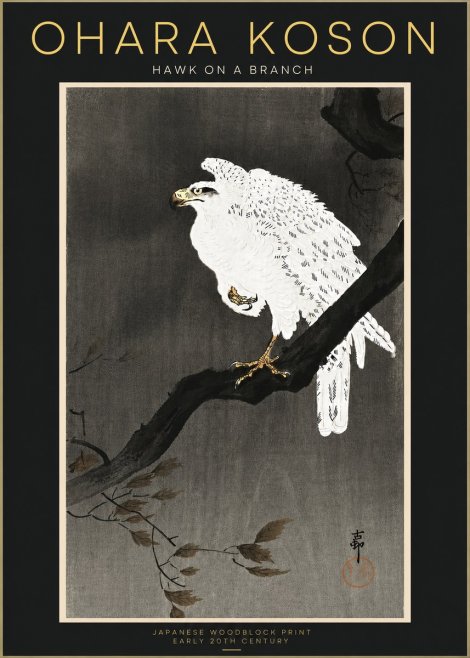 Ohara Koson Hawk on a Branch II No4 - Póster