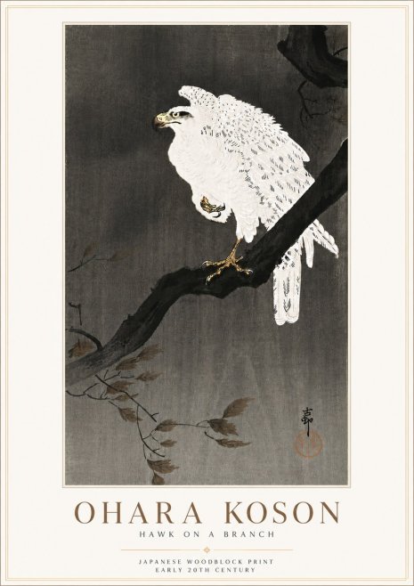 Ohara Koson Hawk on a Branch II No6 - Póster