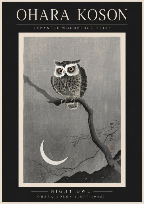 Ohara Koson Night Owl No6 - Póster